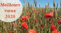 Le président et les membres du conseil d’administration ainsi que l’équipe salariée de France Nature Environnement Pays de la Loire vous présentent leurs meilleurs vœux pour l’année 2020.